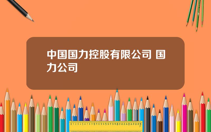 中国国力控股有限公司 国力公司